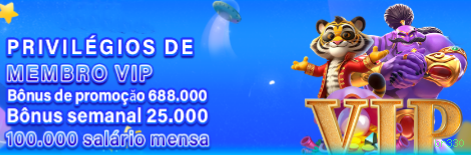 VIP Bronze Benefits